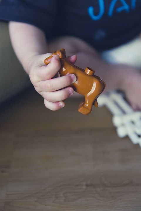 孩子 玩 奶牛 微型 孩子们 玩具 游戏 快乐的 多彩多姿的