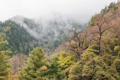 山 森林 自然 旅行 勘探 户外 秋天