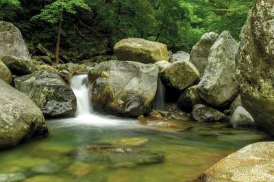 吉日 谷 韩国自然 森林 大韩民国 山 画线的山谷