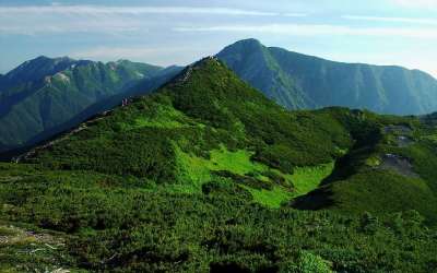 日本 景观 山 森林 树木 谷 沟壑 峡谷 草 自然 目睹