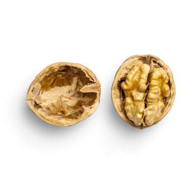 核桃 顶视图 孤立 健康 生的 有机的 坚果 可口 植物 营养