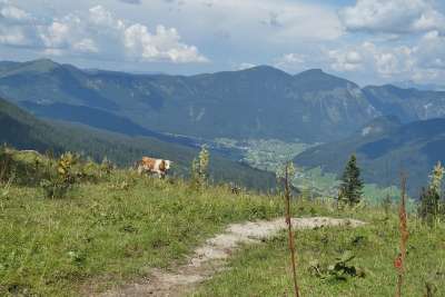 Zwieselalm 山 奥地利 景观 阿尔卑斯山 天堂 性质 云