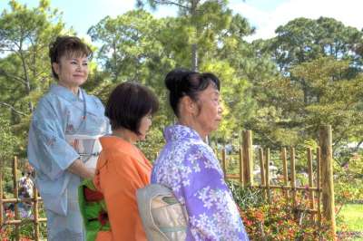 日本人 初见 节日 女性 日本 亚洲 传统的 女士 事件