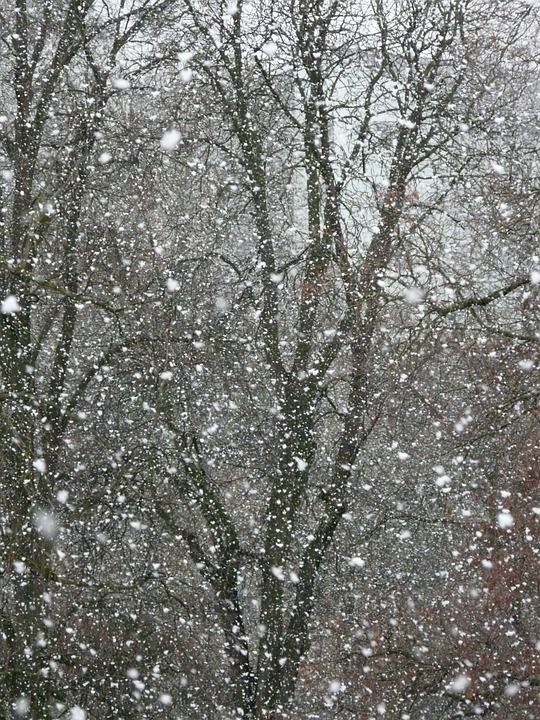 降雪 雪 雪花 暴风雪 冬天 薄片 冬梦 寒冷的 冰冷的