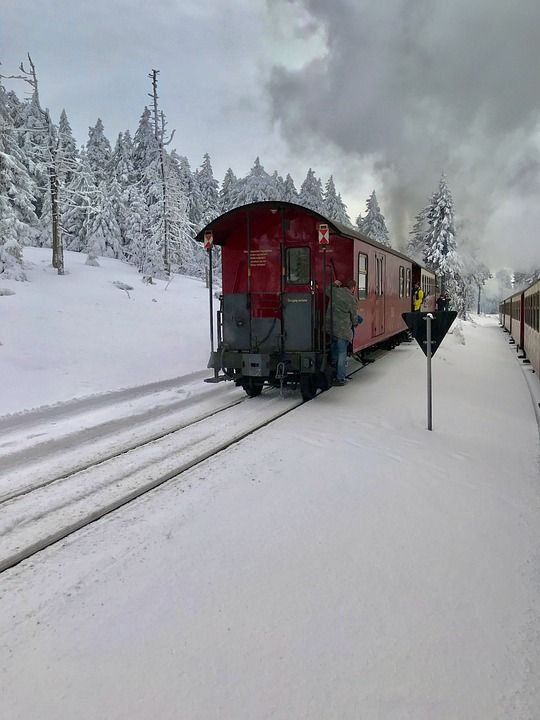 雪 冬天 冷 木 霜 冻结 景观 蒸汽火车 哈尔茨、德国