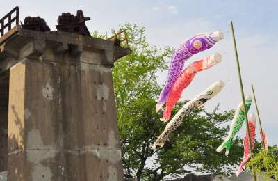 自然 景观 鲤鱼 横幅广告 风 节 事件 孩子 男孩 祷告