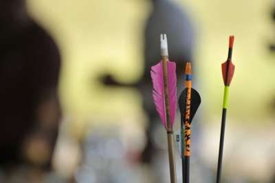 户外活动 弧 箭头 射箭 游戏 体育 3D 国家 自然 自由