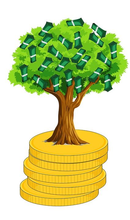 钱 摇钱树 挣钱 投资 银行业 商业 关心 现金 硬币 概念