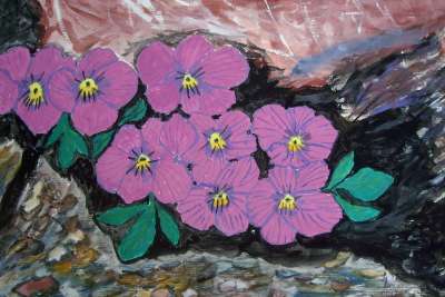 阿尔卑斯山 花 绘画 图片 艺术 作画 染 艺术的 艺术家
