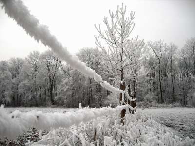 冰淇淋 霜 寒冷的 雪 冬天 草地 栅栏 树 树木 气氛