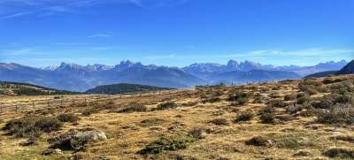 阿尔姆 背景 小路 山 南蒂罗尔 白云岩 天堂 景观 自然