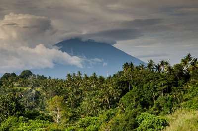 火山 哥斯达黎加 棕榈树 丛林 热带 景观 山 抽烟 树木