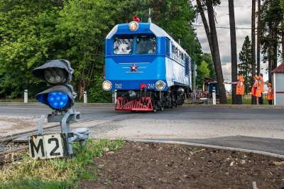 机车 火车 导轨 演习 车站 停止 铁路 窄轨铁路 移动 运输
