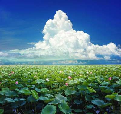热带 夏天 蓝色的 自然 水 天空 天堂 异国情调 景观 海岸