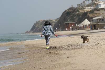 海 海滨 女士 狗 走 沙 布朗走 棕色沙滩