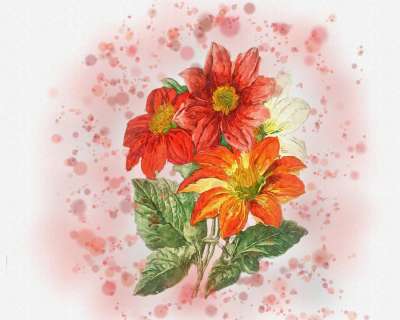 水彩绘画 花朵 红色花 绘画