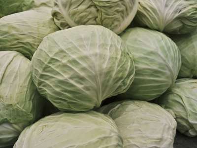 卷心菜 蔬菜 食物 维他命 新鲜的 健康 素食主义者 市场 生的