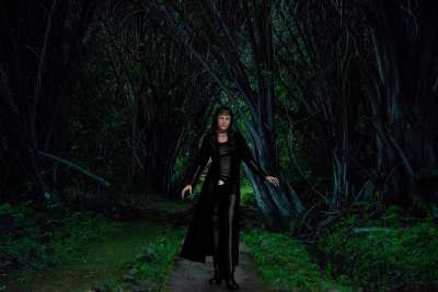 女士 黑暗的 通路 森林 幻想 背景