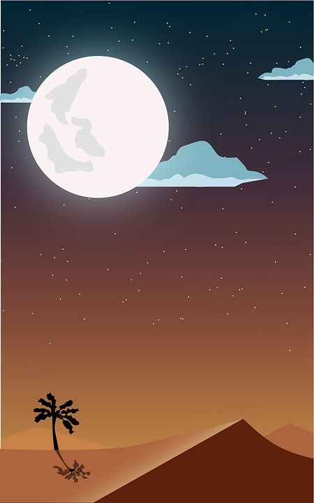 向量 景观 自然 树 设计 数码艺术 天空 沙漠 黄昏