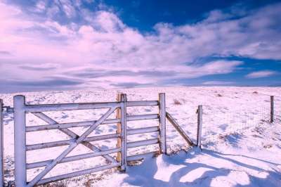英国 景观 雪 冬天 栅栏 门 农场 原野 草地 天空 云