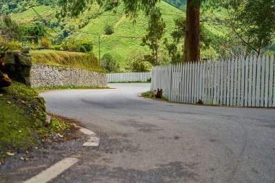 小路 栅栏 沥青 自然 农村 看法 花园 颜色 森林 白天