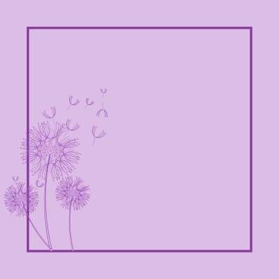 蒲公英 花朵 艺术 卡片 紫色的 背景 框架 自然 植物 杂草