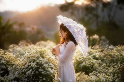 女孩 时尚 花朵 雨伞 女士 模型 阳光明媚 植物 花园 户外